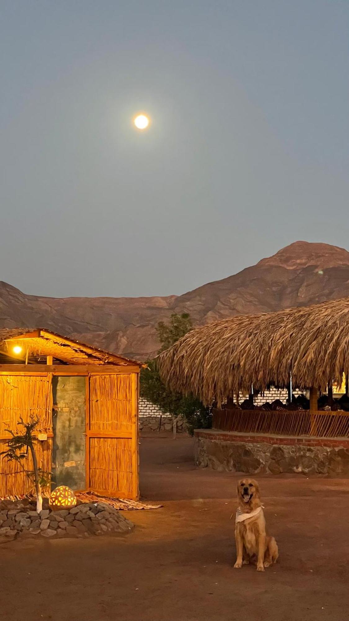 Alwaha Camp Hotel Nuweiba Exterior photo